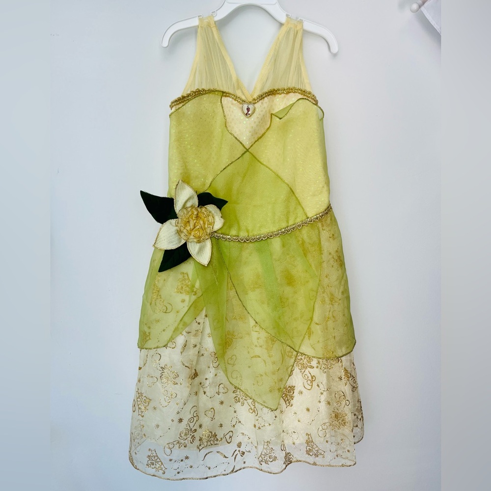 Disney Green and Gold Princess Tiana Halloween Costume dress